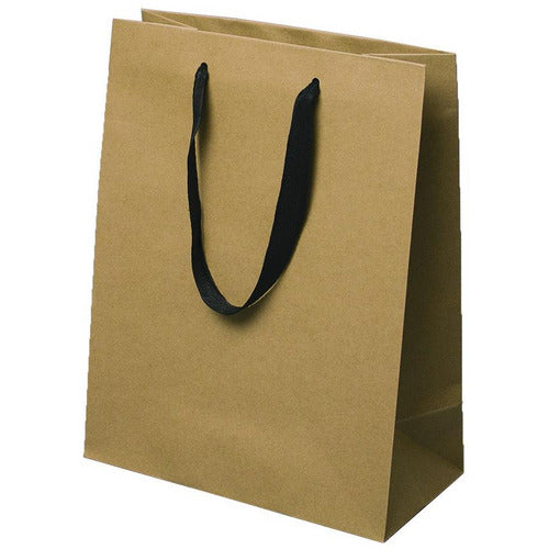 Manhattan Twill Handle Chelsea Kraft Shopping Bags-10.0 x 5.0 x 13.0 - Plastic Bag Partners-Retail Bags - Manhattan Bags