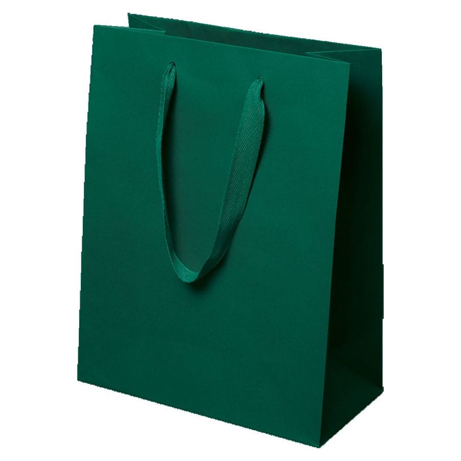 Sacos de compras com alça de sarja Manhattan - Verde Spruce - 10,0 x 5,0 x 13,0