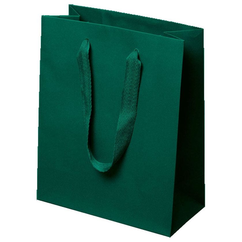 Sacos de compras com alça de sarja Manhattan - Verde Spruce - 8,0 x 4,0 x 10,0
