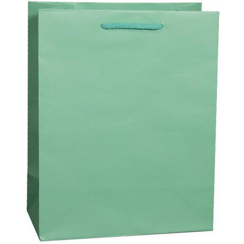 Aqua Matte Rope Handle Euro-Tote Shopping Bags - 16.0 x 6.0 x 12.0 - Plastic Bag Partners-Retail Bags - Euro-Tote