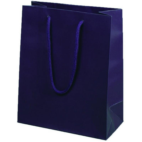 Aubergine Matte Rope Handle Euro-Tote Shopping Bags - 8.0 x 4.0 x 10.0 - Plastic Bag Partners-Retail Bags - Euro-Tote