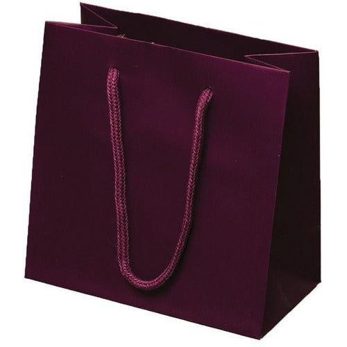 Burgundy Matte Rope Handle Euro-Tote Shopping Bags - 6.5 x 3.5 x 6.5 - Plastic Bag Partners-Retail Bags - Euro-Tote