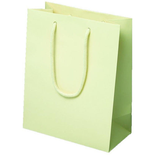 Ivory Matte Rope Handle Euro-Tote Shopping Bags - 8.0 x 4.0 x 10.0 - Plastic Bag Partners-Retail Bags - Euro-Tote