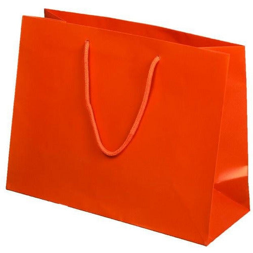 Valencia Matte Rope Handle Euro-Tote Shopping Bags - 13.0 x 5.0 x 10.0 - Plastic Bag Partners-Retail Bags - Euro-Tote