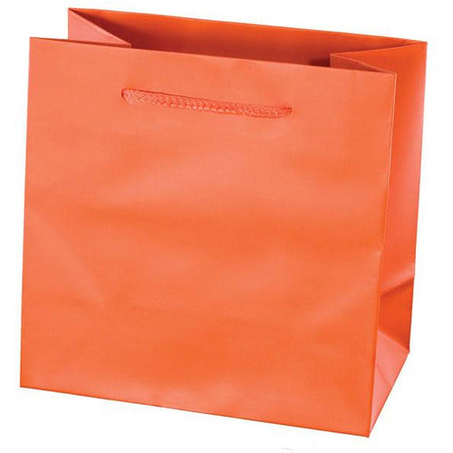Valencia Matte Rope Handle Euro-Tote Shopping Bags - 9.0 x 3.5 x 7.0 - Plastic Bag Partners-Retail Bags - Euro-Tote