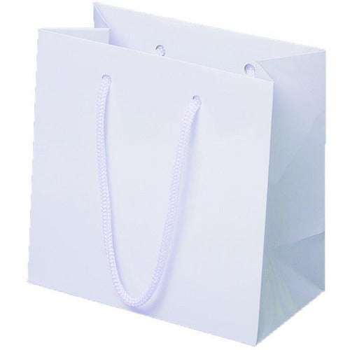 White Glossy Rope Handle Euro-Tote Shopping Bags - 6.5 x 3.5 x 6.5 - Plastic Bag Partners-Retail Bags - Euro-Tote