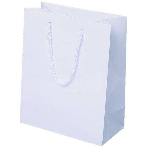White Glossy Rope Handle Euro-Tote Shopping Bags - 8.0 x 4.0 x 10.0 - Plastic Bag Partners-Retail Bags - Euro-Tote
