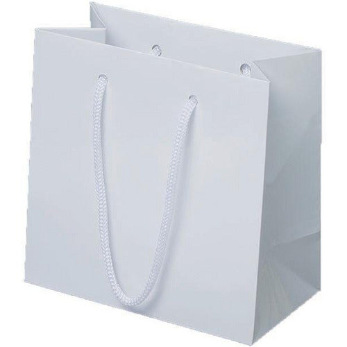White Kraft Paper Euro-Tote Shopping Bags - 6.5 x 3.5 x 6.5 - Plastic Bag Partners-Retail Bags - Euro-Tote