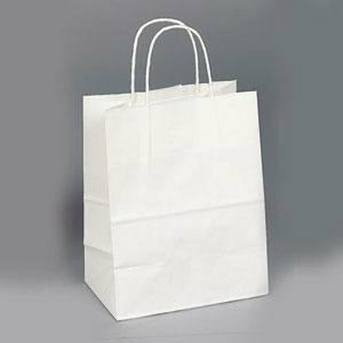白色牛皮纸购物袋 - 10.00 英寸 x 6.70 英寸 x 14.00 英寸