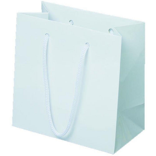 White Matte Rope Handle Euro-Tote Shopping Bags - 16.0 x 6.0 x 12.0 - Plastic Bag Partners-Retail Bags - Euro-Tote